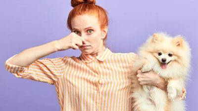 Очистка воздуха от неприятных запахов