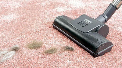 Уборка шерсти c ковров